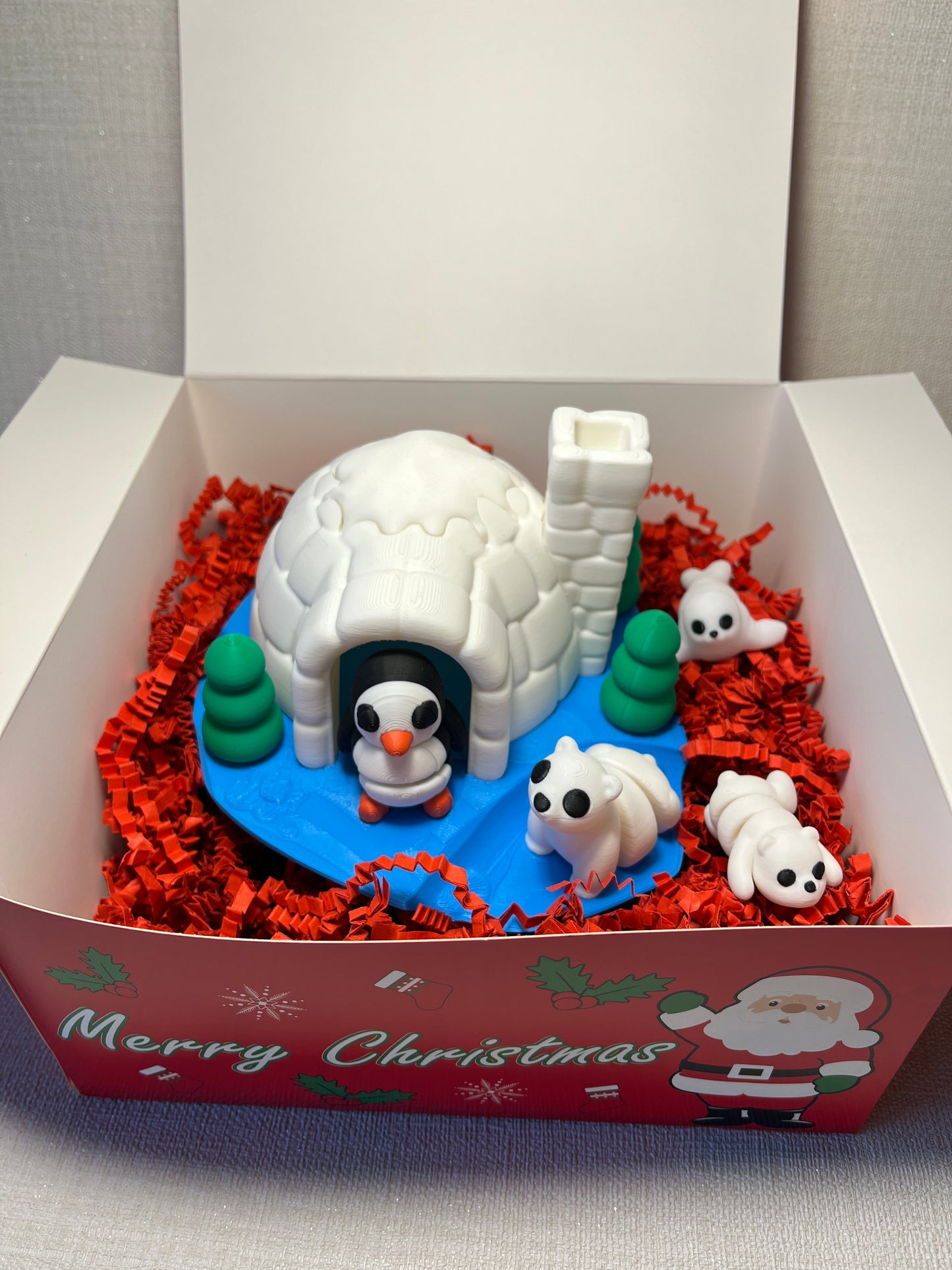 Coffret Igloo